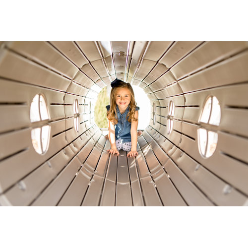 Lifetime Adventure Tunnel Swing Set & Reviews Wayfair